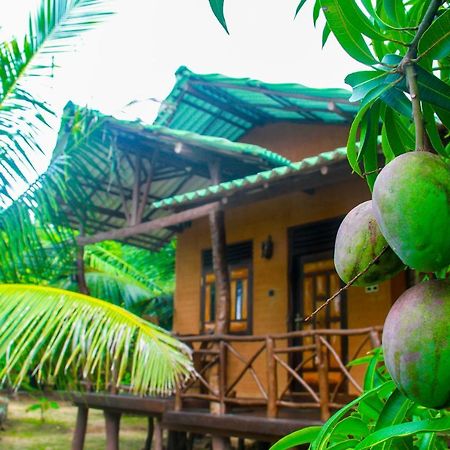 Yalaway Nature Villa Tissamaharama Ngoại thất bức ảnh