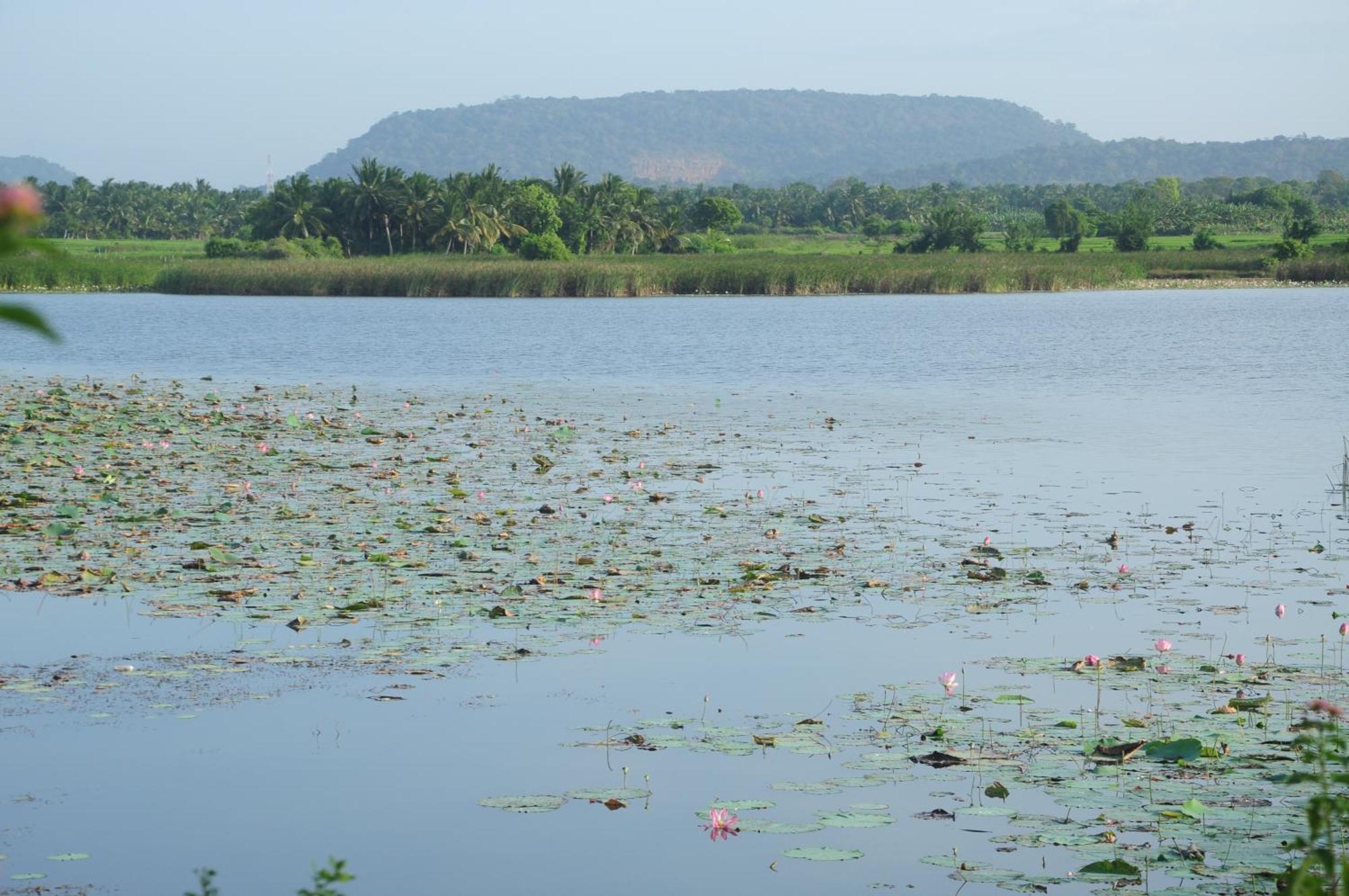 Yalaway Nature Villa Tissamaharama Phòng bức ảnh