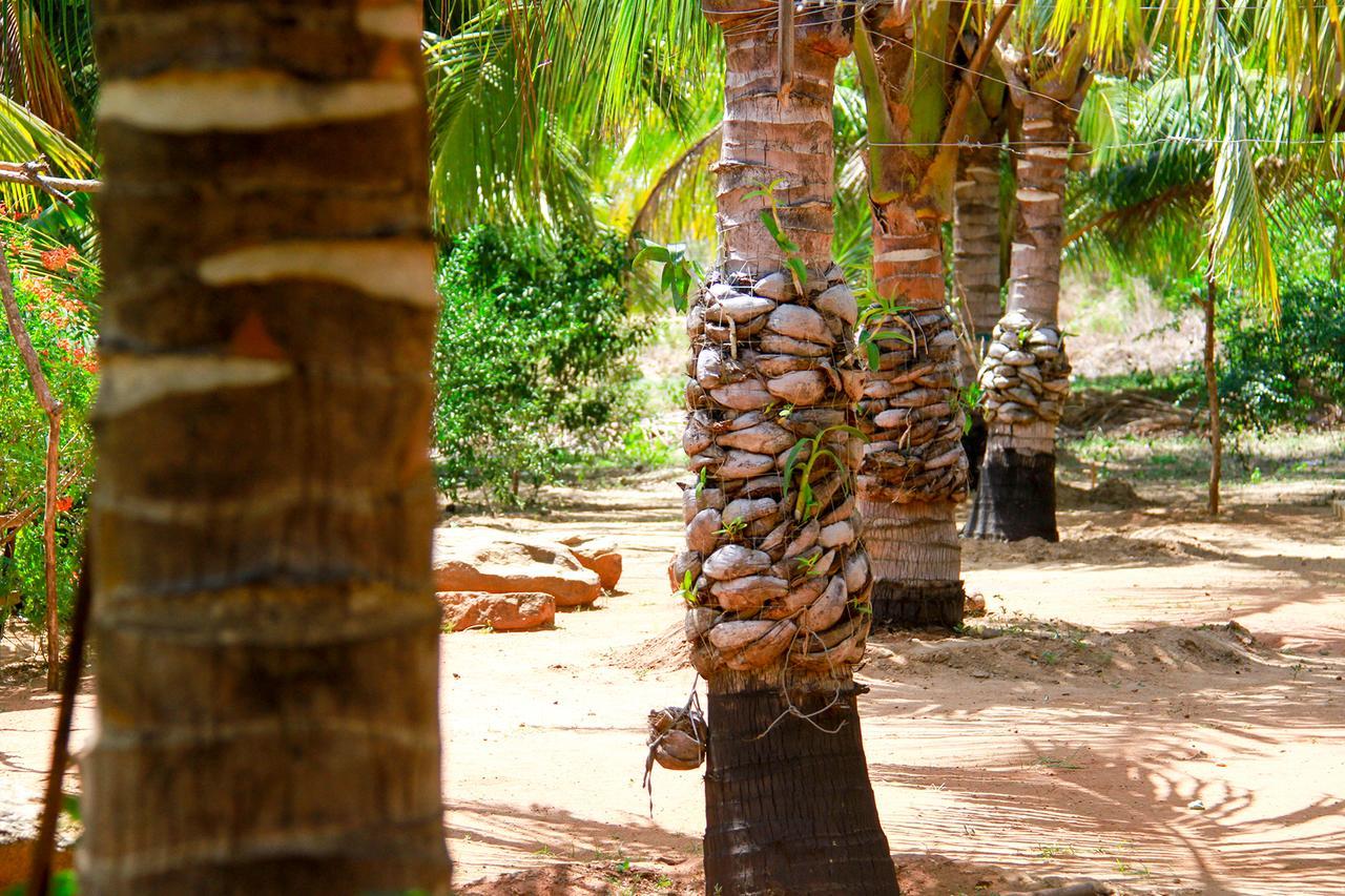 Yalaway Nature Villa Tissamaharama Ngoại thất bức ảnh