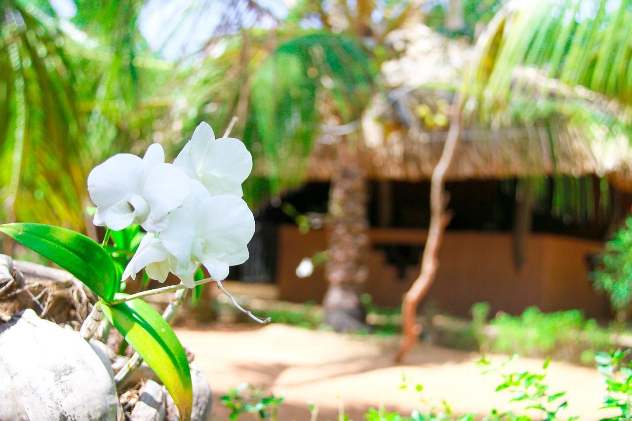 Yalaway Nature Villa Tissamaharama Ngoại thất bức ảnh