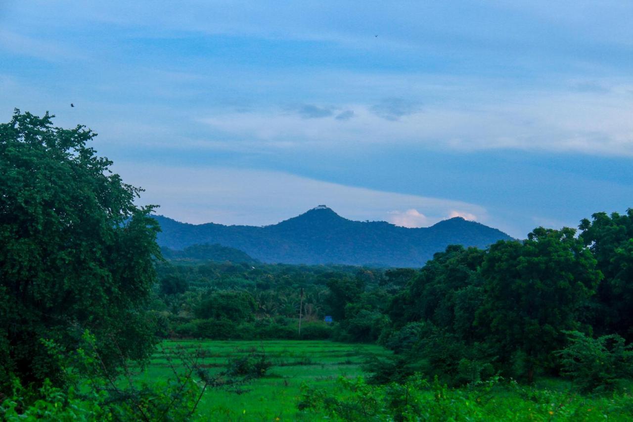 Yalaway Nature Villa Tissamaharama Ngoại thất bức ảnh